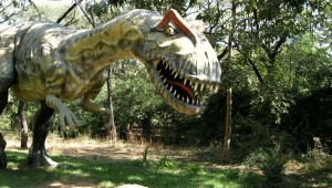 fossils indroda primitive extinct tripatlas resurrect allosaurus teachengineering tripoto gandhinagar