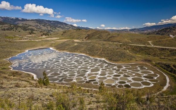 Spotted Lake of Osyoos, British Columbia, Canada