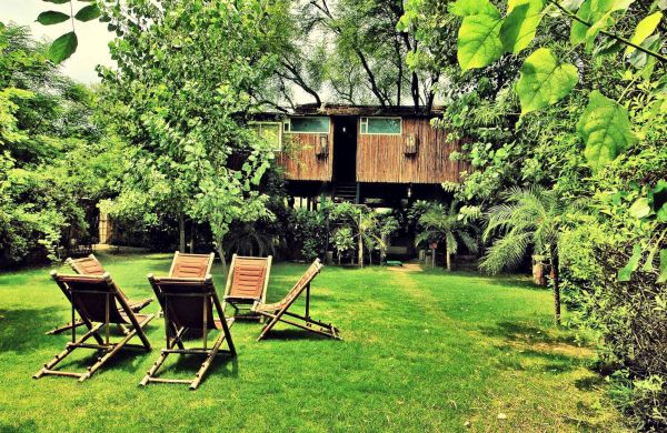 Tree House Resort, Jaipur