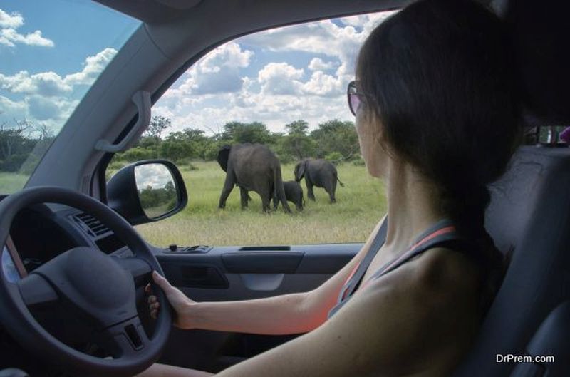 Kruger National Park