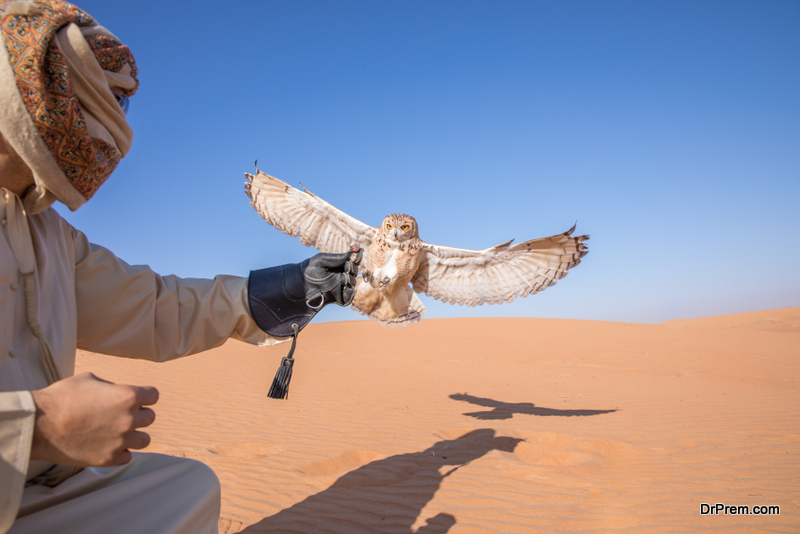 Desert-Safari