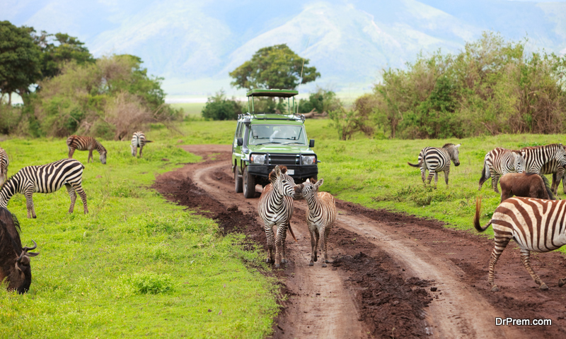 Off-road safari