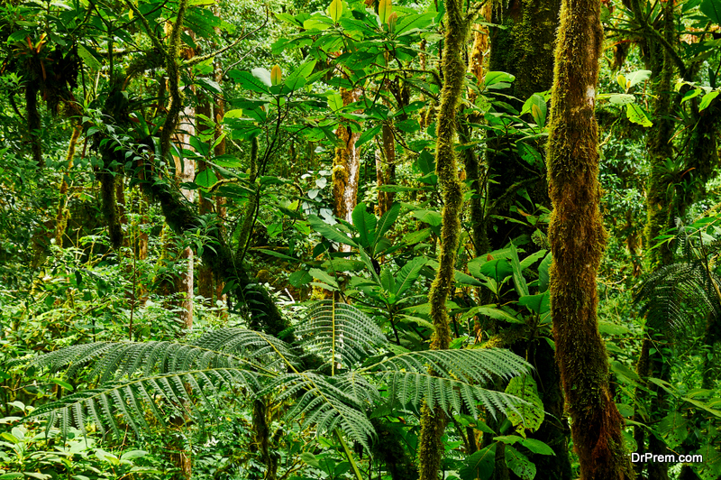 Darien-National-Park-Panama