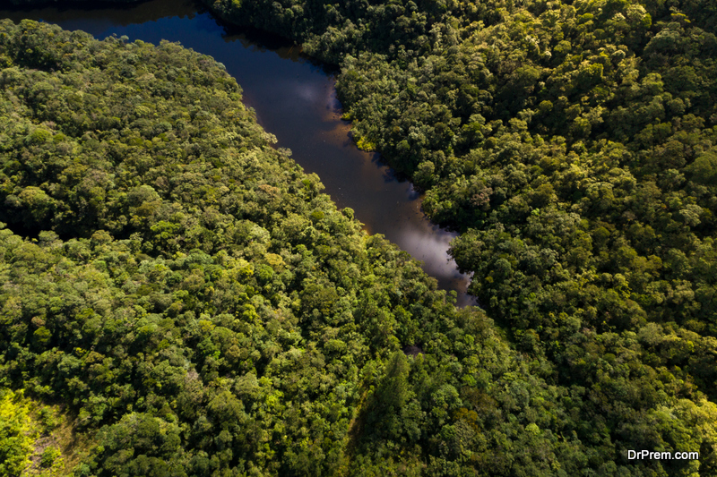 Gabon-Central-Africa