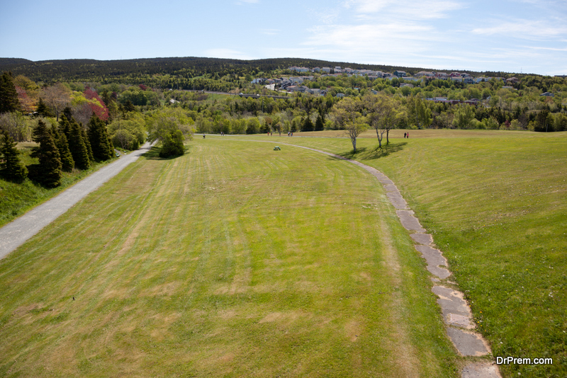 Looking over Bowring Park