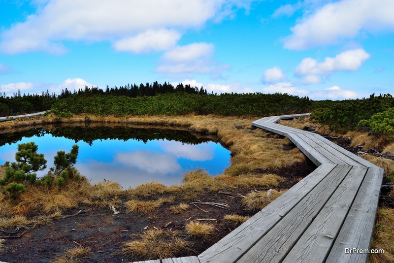 Pohorje Trail