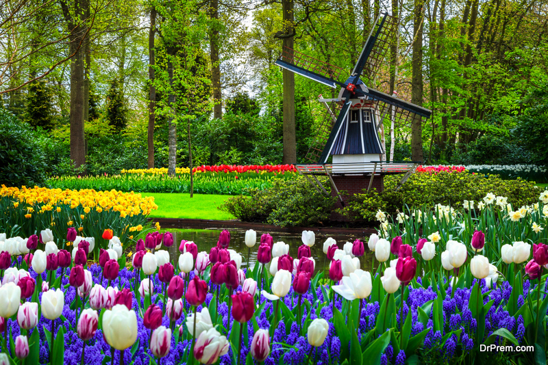 Keukenhof Park, Lisse, Holland