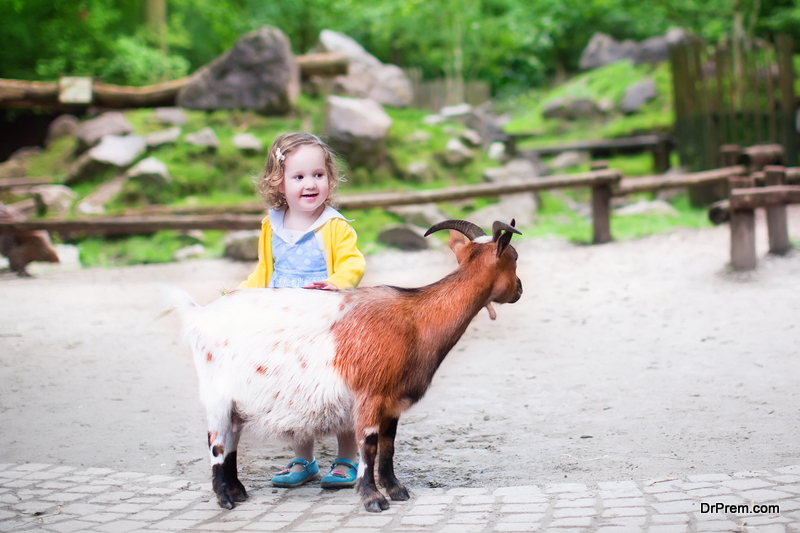 Traveling-brings-your-kids-closer-to-nature