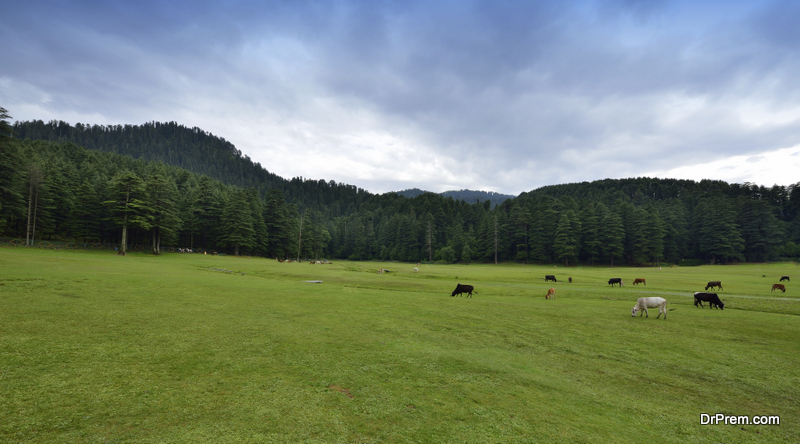 Khajjar