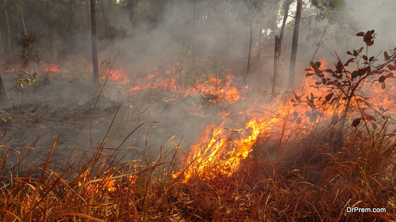 Australia is burning