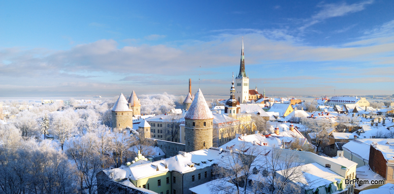 Tallinn city. Estonia. Snow on trees in winter