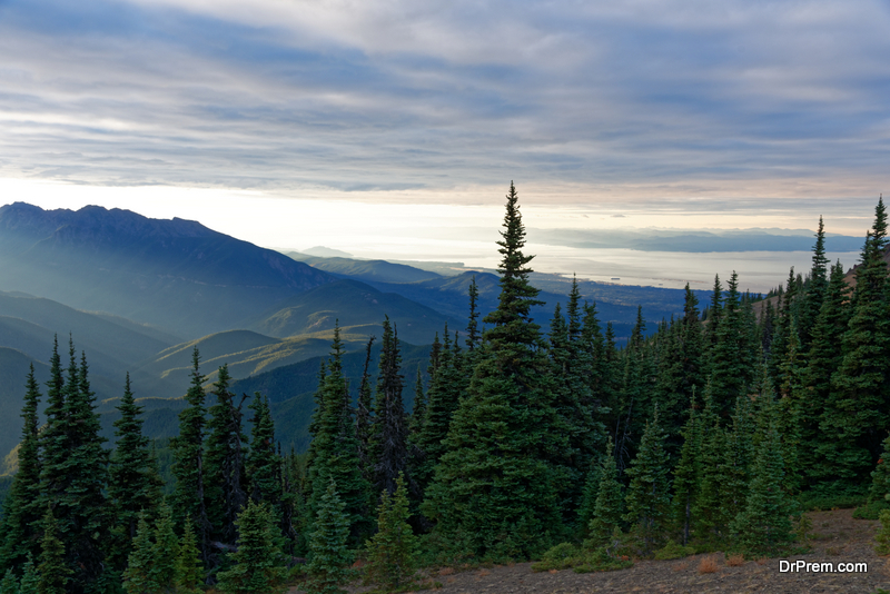Olympic-National-Park