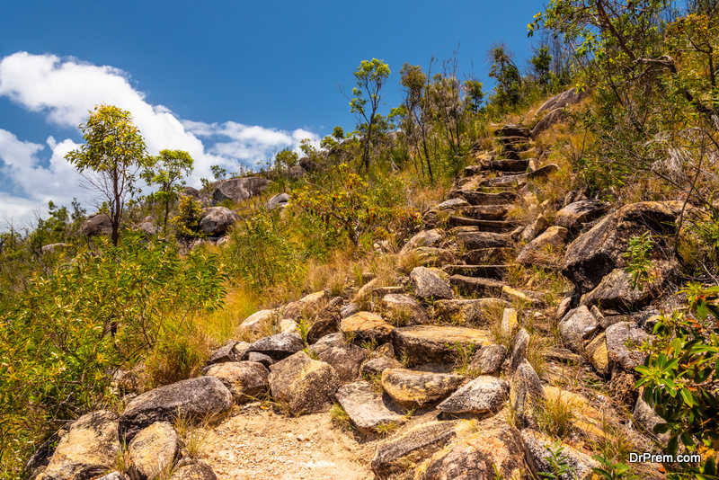 walking trail